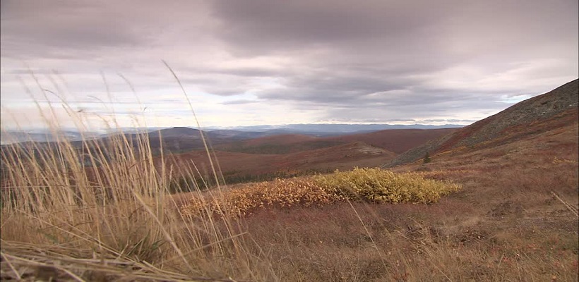 La Collina del Vento